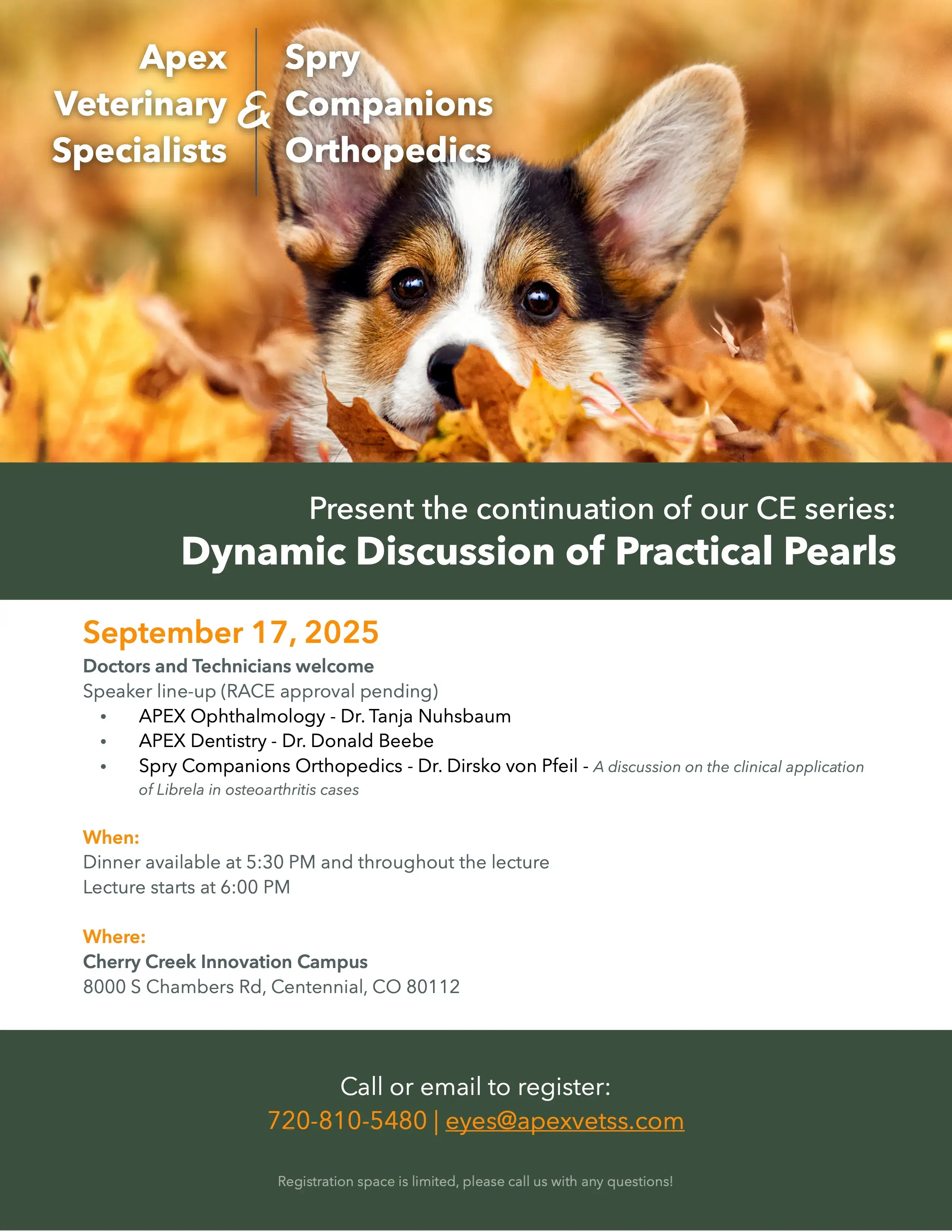 Ce Flyer